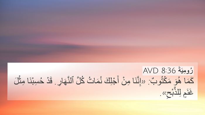 رُومِيَةَ 8:36 AVD Bible Verse Image