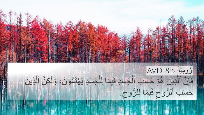 رُومِيَةَ 8:5 AVD Bible Verse Image