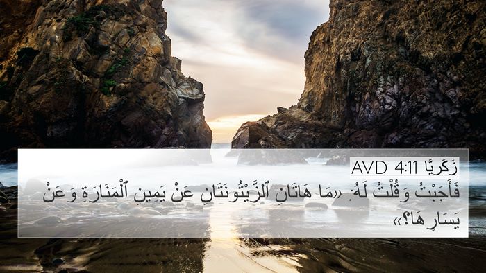 زَكَريَّا 4:11 AVD Bible Verse Image