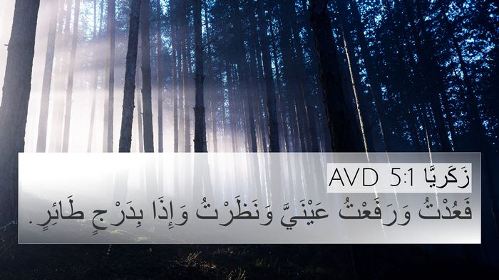 زَكَريَّا 5:1 AVD Bible Verse Image