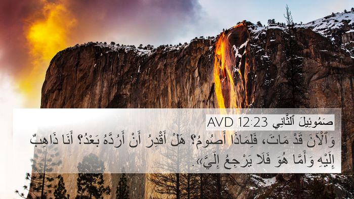 صَمُوئِيلَ ٱلثَّانِي 12:23 AVD 4K Wallpaper - وَٱلْآنَ قَدْ مَاتَ، - 4K Wallpaper Bible Verse