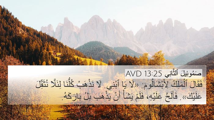صَمُوئِيلَ ٱلثَّانِي 13:25 AVD 4K Wallpaper - فَقَالَ ٱلْمَلِكُ - 4K Wallpaper Bible Verse