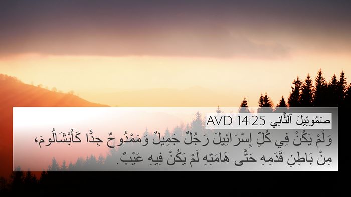صَمُوئِيلَ ٱلثَّانِي 14:25 AVD Bible Verse Image