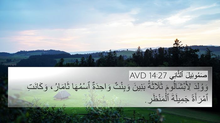 صَمُوئِيلَ ٱلثَّانِي 14:27 AVD Bible Verse Image