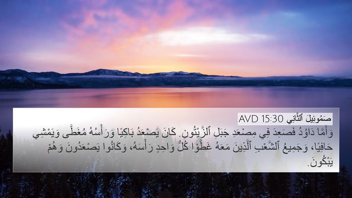 صَمُوئِيلَ ٱلثَّانِي 15:30 AVD Bible Verse Image