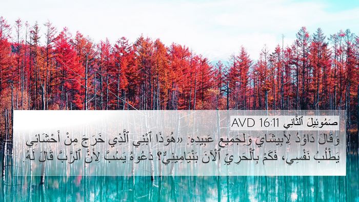 صَمُوئِيلَ ٱلثَّانِي 16:11 AVD Bible Verse Image