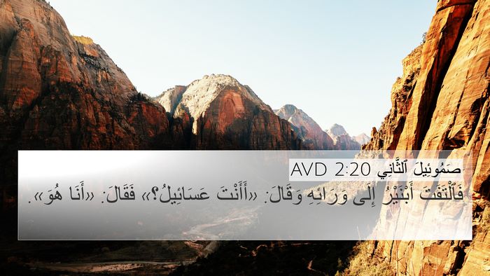 صَمُوئِيلَ ٱلثَّانِي 2:20 AVD 4K Wallpaper - فَٱلْتَفَتَ أَبْنَيْرُ - 4K Wallpaper Bible Verse