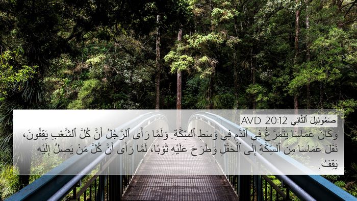 صَمُوئِيلَ ٱلثَّانِي 20:12 AVD Bible Verse Image