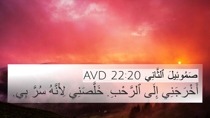 صَمُوئِيلَ ٱلثَّانِي 22:20 AVD Bible Verse Image