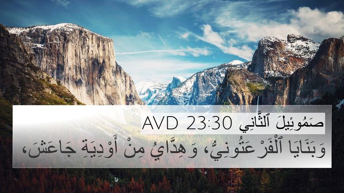 صَمُوئِيلَ ٱلثَّانِي 23:30 AVD Bible Verse Image