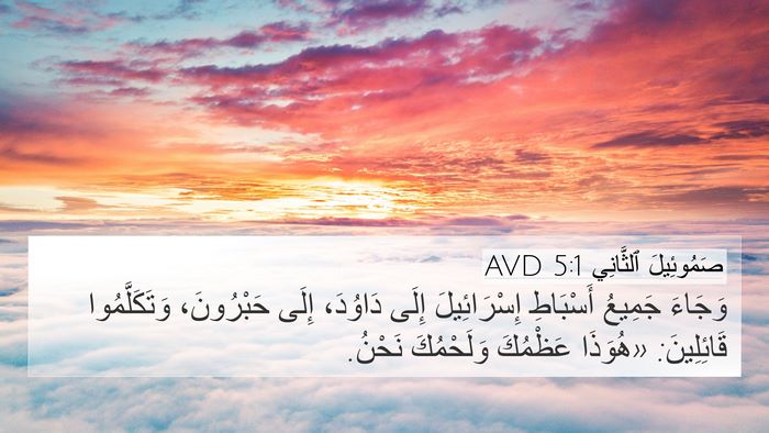 صَمُوئِيلَ ٱلثَّانِي 5:1 AVD Bible Verse Image