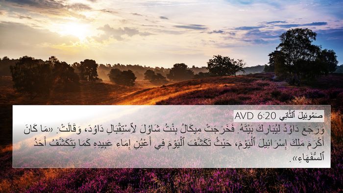 صَمُوئِيلَ ٱلثَّانِي 6:20 AVD Bible Verse Image