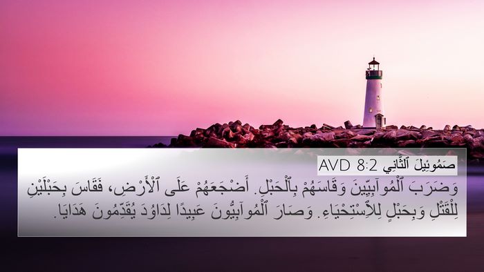 صَمُوئِيلَ ٱلثَّانِي 8:2 AVD Bible Verse Image