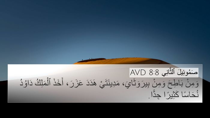 صَمُوئِيلَ ٱلثَّانِي 8:8 AVD Bible Verse Image