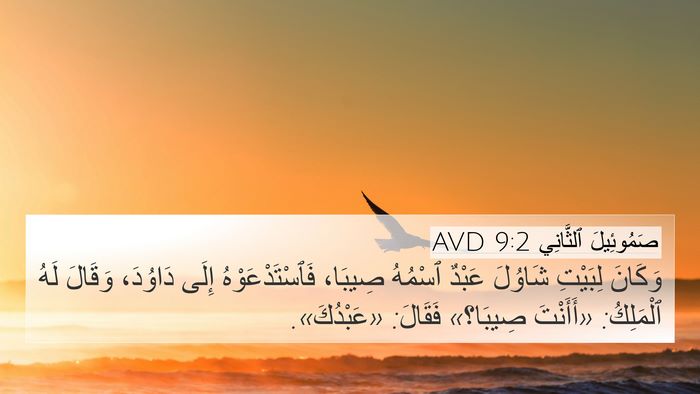 صَمُوئِيلَ ٱلثَّانِي 9:2 AVD Bible Verse Image
