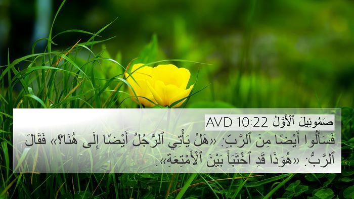 صَمُوئِيلَ ٱلْأَوَّلُ 10:22 AVD 4K Wallpaper - فَسَأَلُوا أَيْضًا مِنَ - 4K Wallpaper Bible Verse