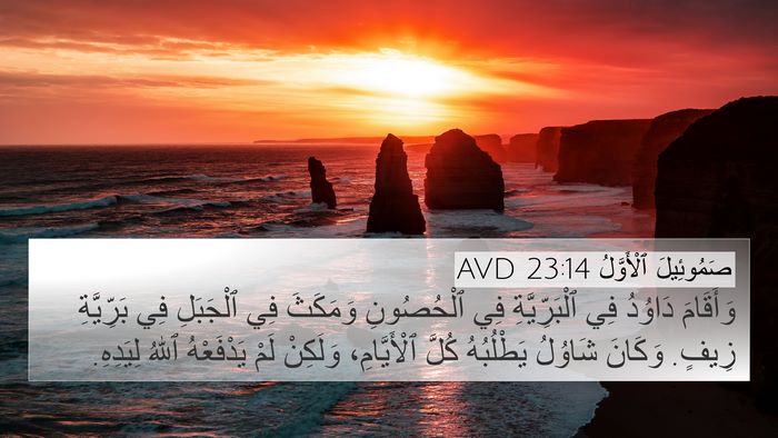 صَمُوئِيلَ ٱلْأَوَّلُ 23:14 AVD Bible Verse Image
