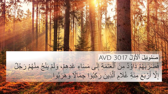 صَمُوئِيلَ ٱلْأَوَّلُ 30:17 AVD Bible Verse Image