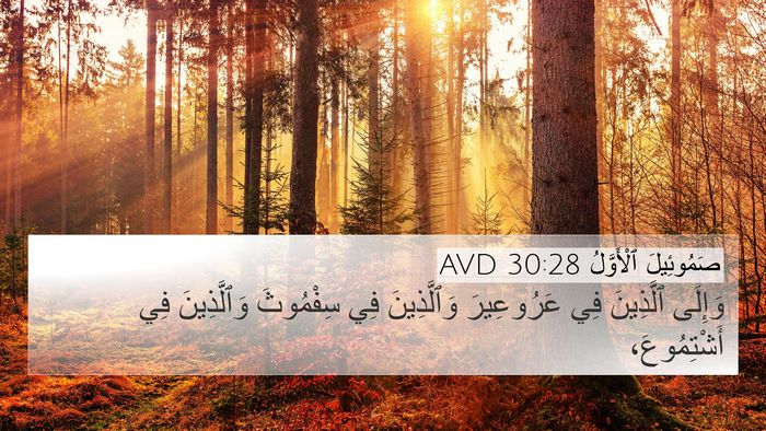صَمُوئِيلَ ٱلْأَوَّلُ 30:28 AVD Bible Verse Image