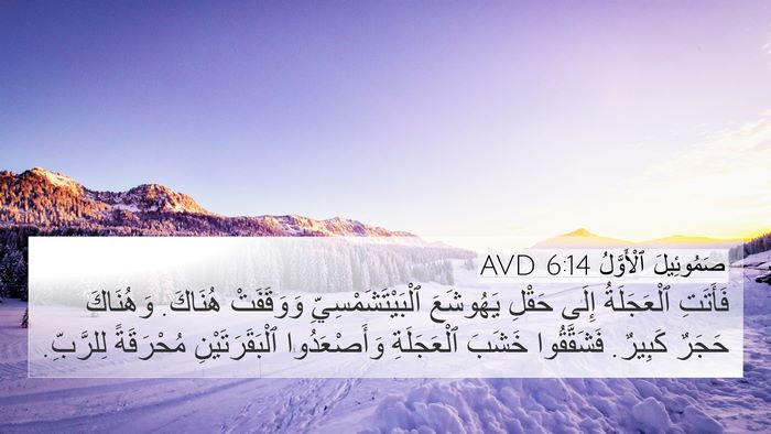صَمُوئِيلَ ٱلْأَوَّلُ 6:14 AVD Bible Verse Image