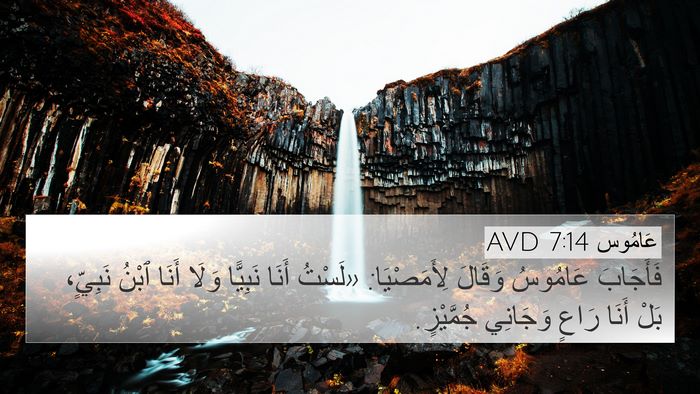 عَامُوس 7:14 AVD Bible Verse Image
