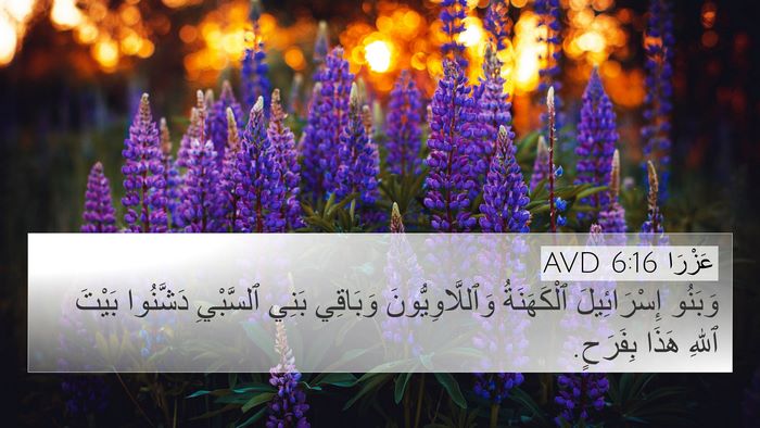 عَزْرَا 6:16 AVD Bible Verse Image