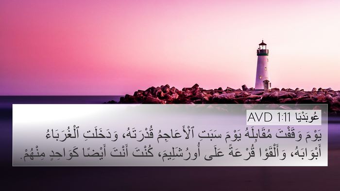 عُوبَدْيَا 1:11 AVD Bible Verse Image