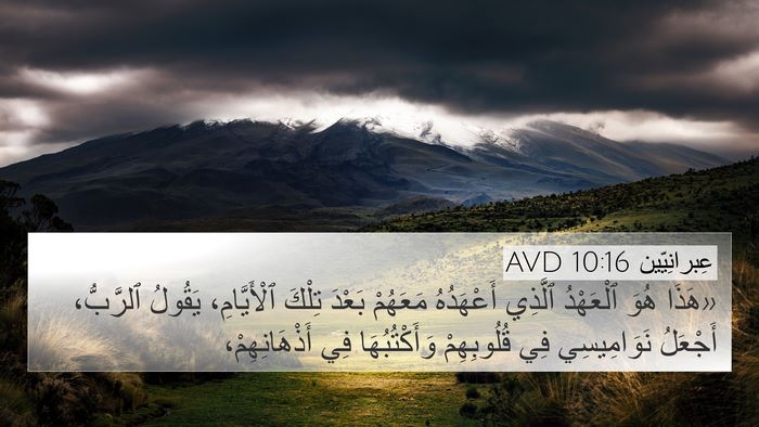 عِبرانِيّين 10:16 AVD Bible Verse Image