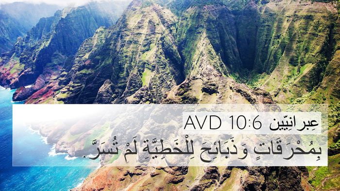 عِبرانِيّين 10:6 AVD Bible Verse Image