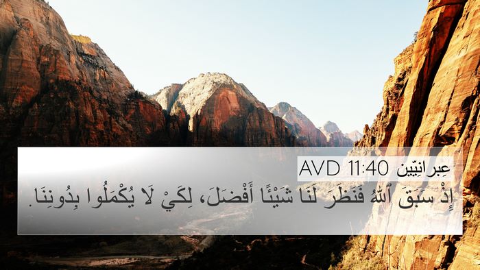 عِبرانِيّين 11:40 AVD Bible Verse Image