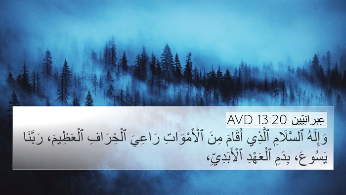 عِبرانِيّين 13:20 AVD Bible Verse Image