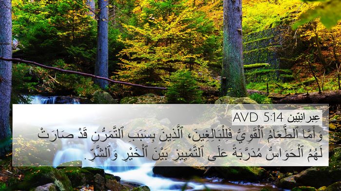 عِبرانِيّين 5:14 AVD Bible Verse Image