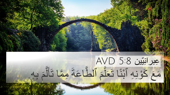 عِبرانِيّين 5:8 AVD Bible Verse Image