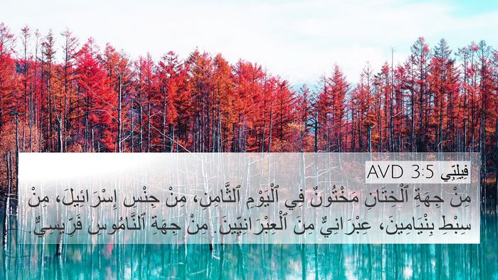 فِيلِبِّي 3:5 AVD Bible Verse Image