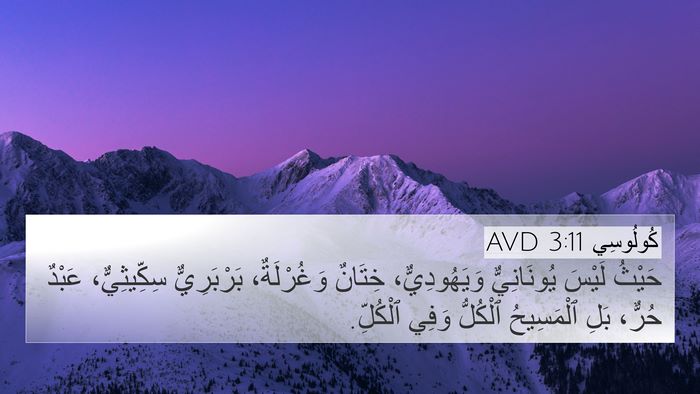 كُولُوسِي 3:11 AVD Bible Verse Image