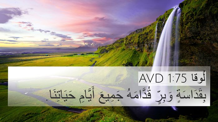 لُوقا 1:75 AVD Bible Verse Image