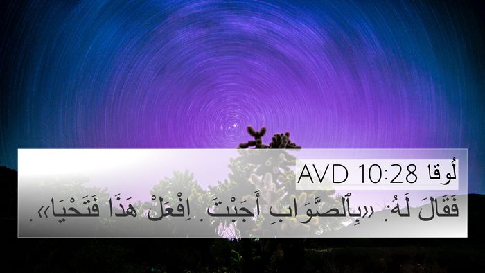 لُوقا 10:28 AVD Bible Verse Image