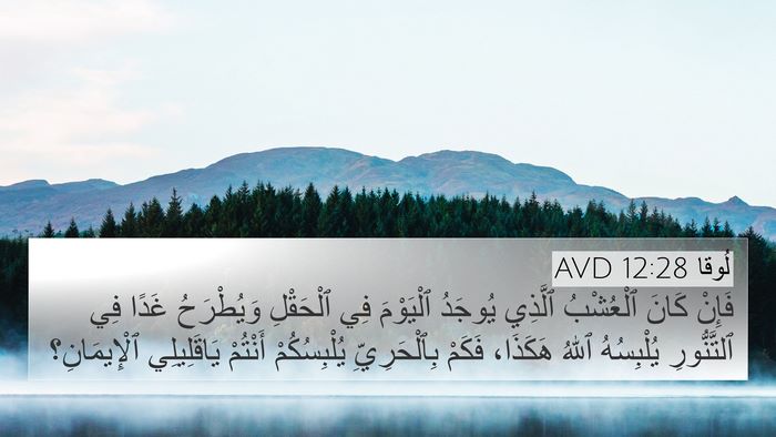 لُوقا 12:28 AVD Bible Verse Image