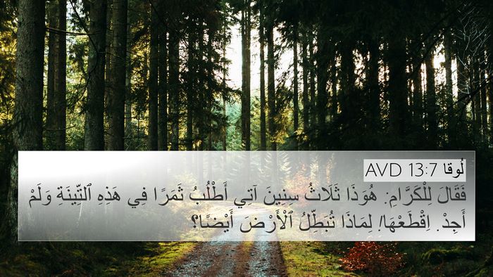 لُوقا 13:7 AVD Bible Verse Image