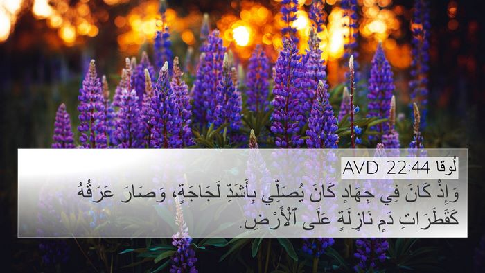 لُوقا 22:44 AVD Bible Verse Image