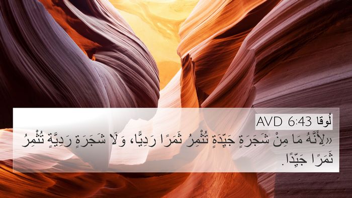 لُوقا 6:43 AVD Bible Verse Image