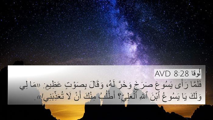 لُوقا 8:28 AVD Bible Verse Image
