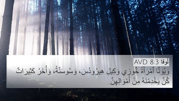 لُوقا 8:3 AVD Bible Verse Image