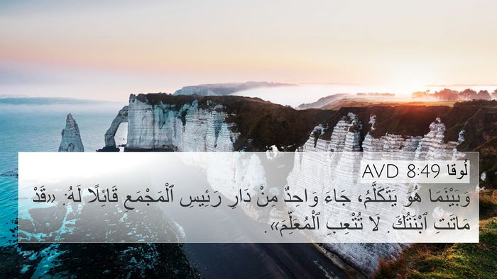 لُوقا 8:49 AVD Bible Verse Image
