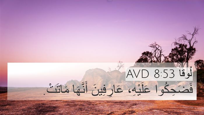 لُوقا 8:53 AVD Bible Verse Image