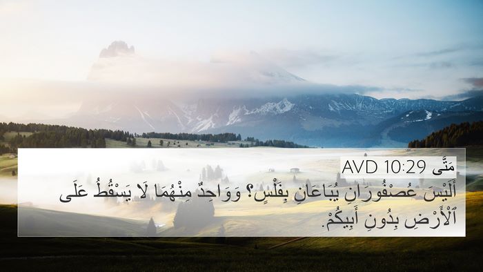 مَتَّى 10:29 AVD Bible Verse Image