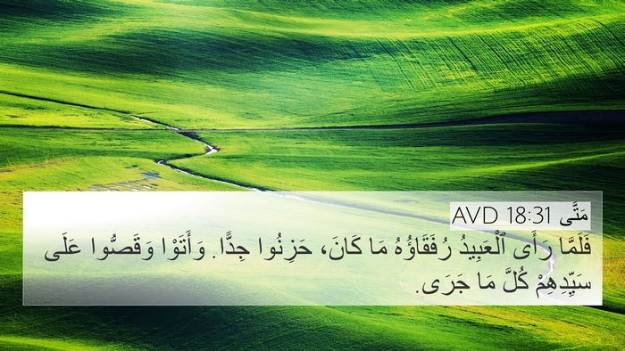 مَتَّى 18:31 AVD Bible Verse Image