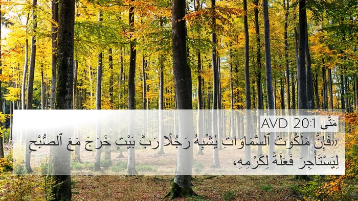 مَتَّى 20:1 AVD Bible Verse Image