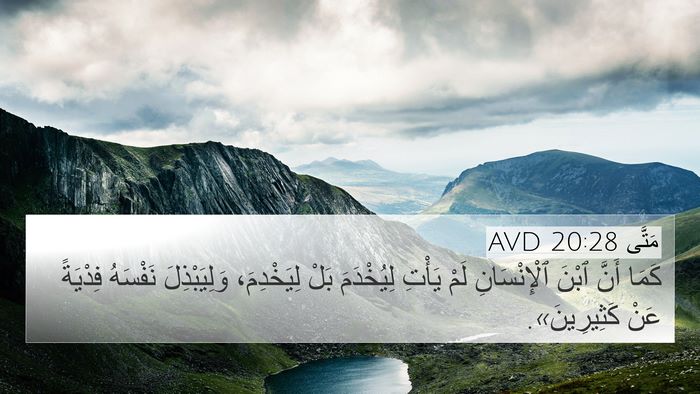 مَتَّى 20:28 AVD Bible Verse Image