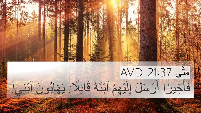 مَتَّى 21:37 AVD Bible Verse Image